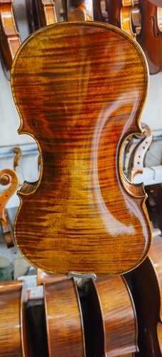 Violino professionale