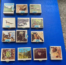 N 13 scatole cerini sigillate