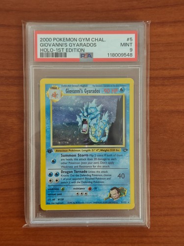 Pokémon giovanni gyarados - pokémon,