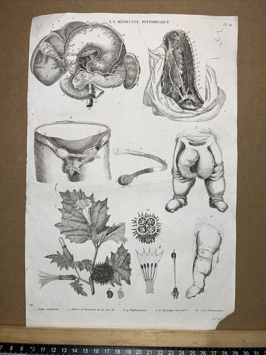 Acquaforte antica 1834