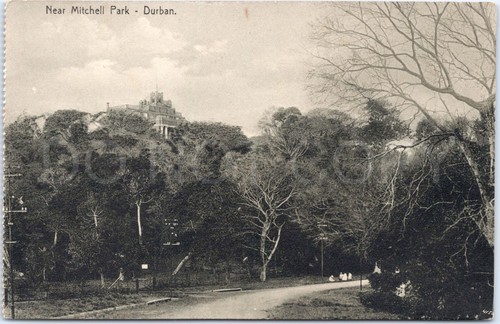 Durban mitchell park trees - mitchell,