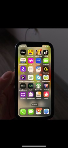 Iphone pro max con tik - 12,