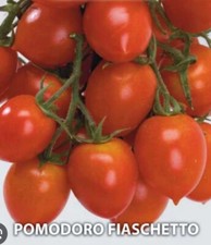 250 SEMI DI POMODORO