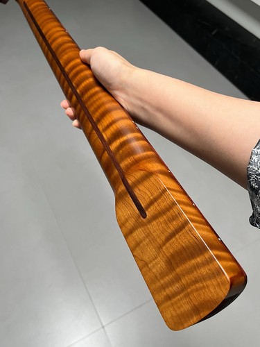 Collo basso elettrico - , corde