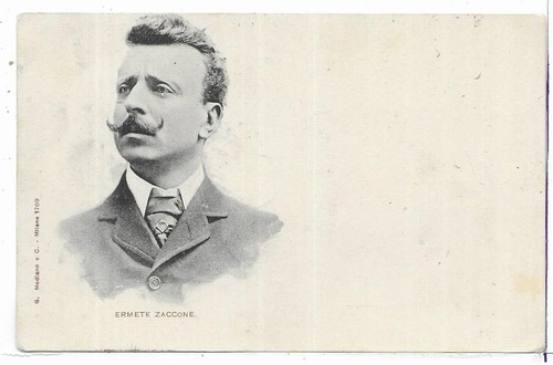 Varie ermete zacconi - (990),