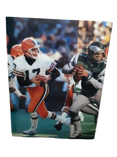 Articolo nfl brian sipe - nfl, ron