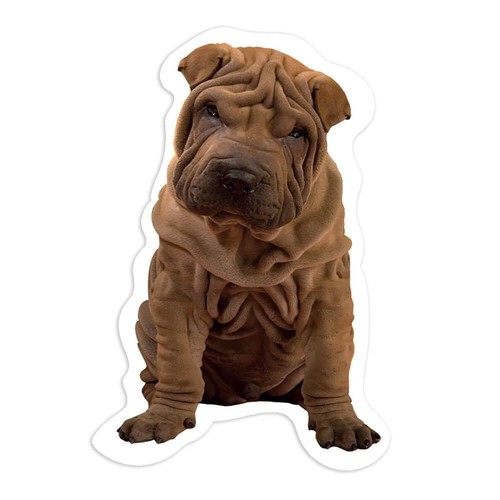Adesivo regalo sharpei cane - sharpei,