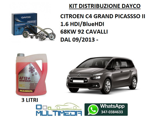 Kit distribuzione pompa - distribuzione, e