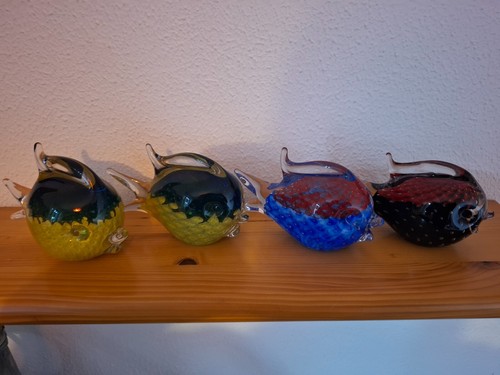 Pesce palla cristallo - pesce,