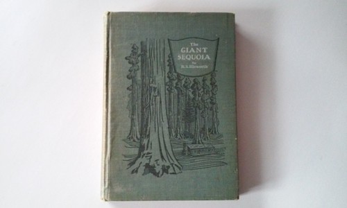 The giant sequoia s - giant,