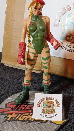 Street fighter cammy - fighter,
