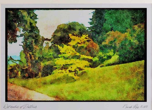 Giardini 214044 melzi - giardini,