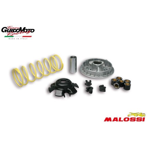 Variatore malossi multivar - malossi,