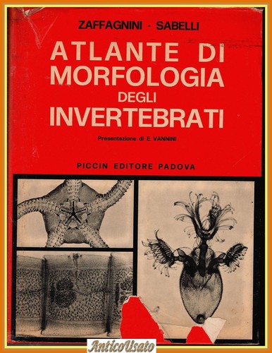 Atlante morfologia degli - di,