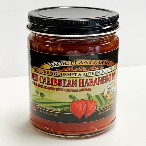 Mash habanero caraibico - habanero,