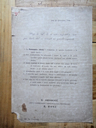 1886-Viticoltura-JESI-Peronosp