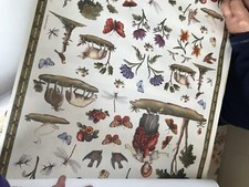Fogli per decoupage 58 - decoupage,