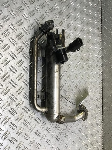Radiatore gas scarico - gas, di