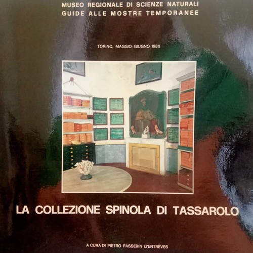 Collezione spinola di - collezione,