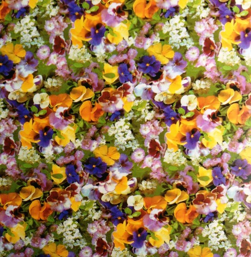 Tela cerata tovaglia viole - tela, del