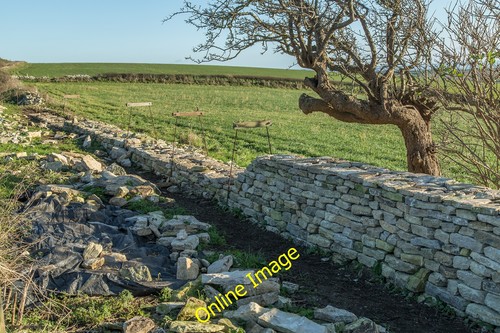 Photo 12x8 dry stone - dry,