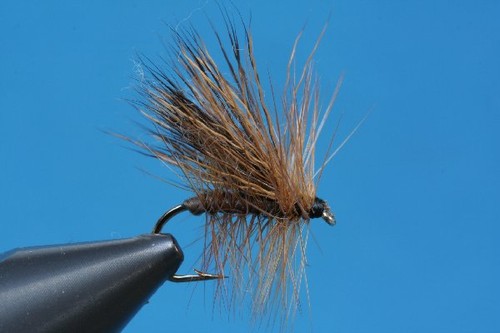 Fliegentom pezzi mosca - mosca, secca
