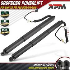 2x Elettrico Gas Powerlift