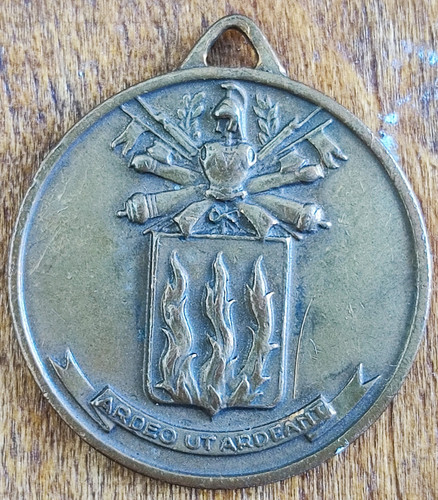 Medaglia scuola allievi - medaglia,