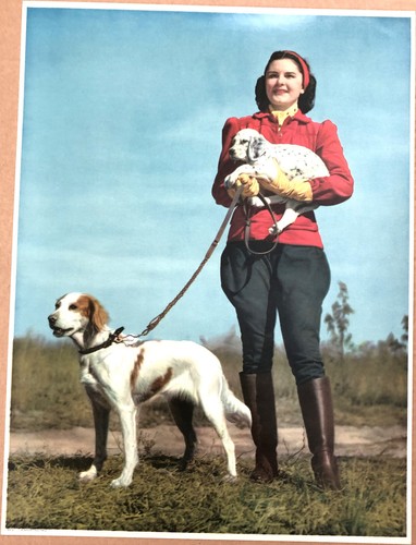 Calendario originale vintage - originale,