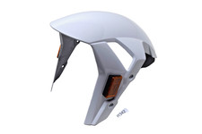 BMW S1000RR K67, S1000R K63