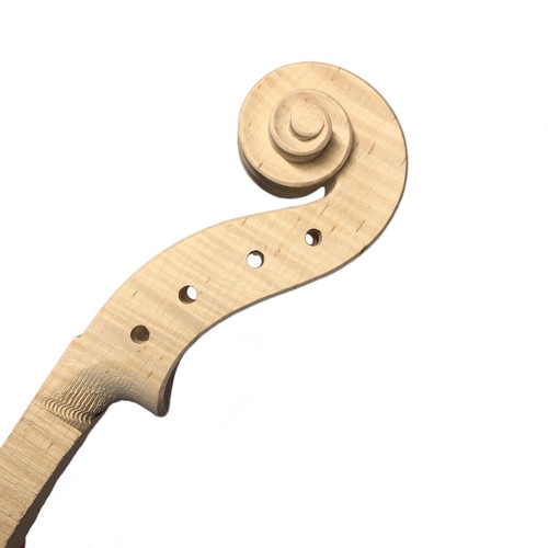 Testa collo violino - , bianco