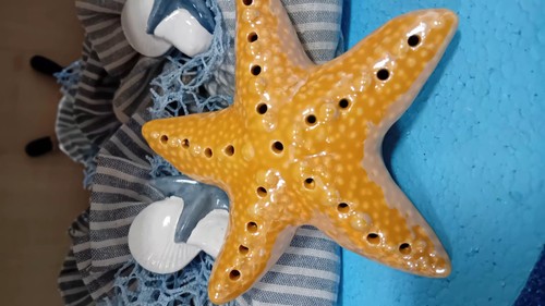 Decorazioni stella marina in - 1,