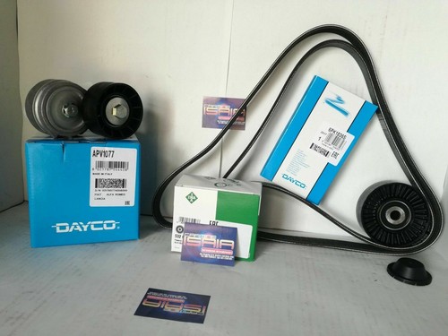 Kit cinghia servizi for - kit, fiat