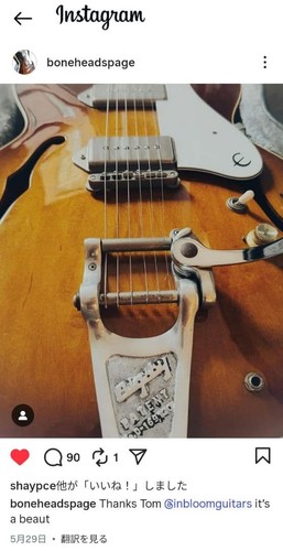 Chitarra elettrica acustica