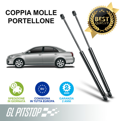 Pistoni portellone coppia - pistoni, portellone,