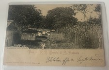 Cartolina Di San Rossore Pisa Fagianeria Rara Animata Viaggiata Fp