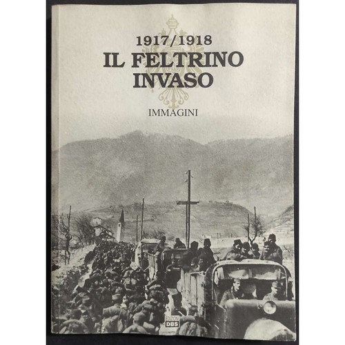 Feltrino invaso - ii,