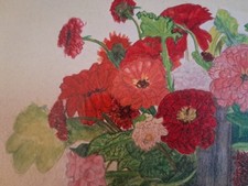 Fiori caldi belle arti