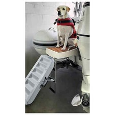 Scaletta per cani  Scaletta