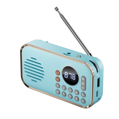Radio portatile - fm,
