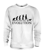 Bull Terrier Evolution Of Uomo