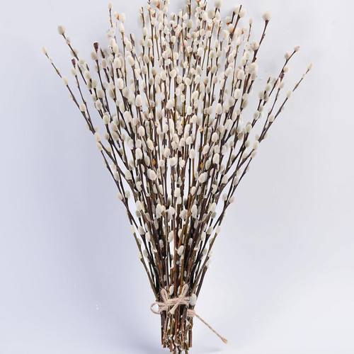 Steli veri rami - 16",