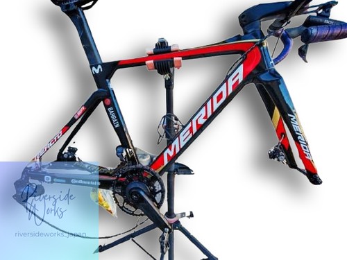 Merida reacto team disc 2019 - merida, team-e