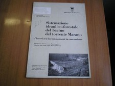 manuali SISTEMAZIONE IDRAULICO FORESTALE BACINO TORRENT