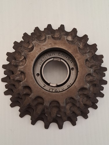 Regina oro corsa - 6, velocità