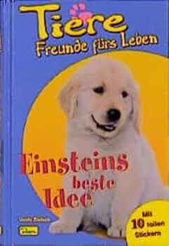 Dino libro per - dino, animali