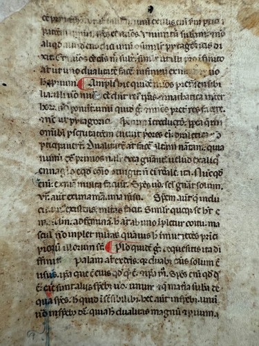 Foglia manoscritto - foglia,