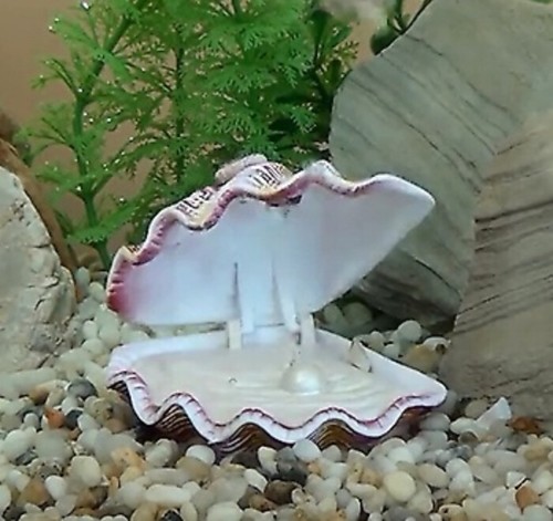 Aria alla ricerca nemo - di,