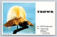 Ham Radio QSL JY9RC Indonesia 1981 Trio TS820S Kenwood TL922 scheda