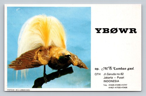 Ham radio qsl - qsl, jy9rc
